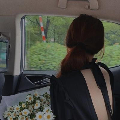 凡妮莎海辛第五季